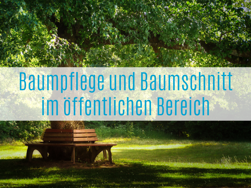 Baumpflege im öffentlichen Bereich: SRS Nord