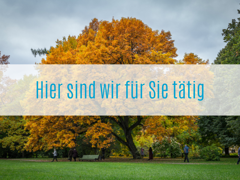 Baumpflege in Kiel - SRS Nord